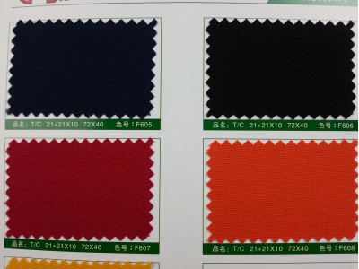 SD-DGYE   滌棉厚珠帆   T/C    21+21*10   72*40 細節-2